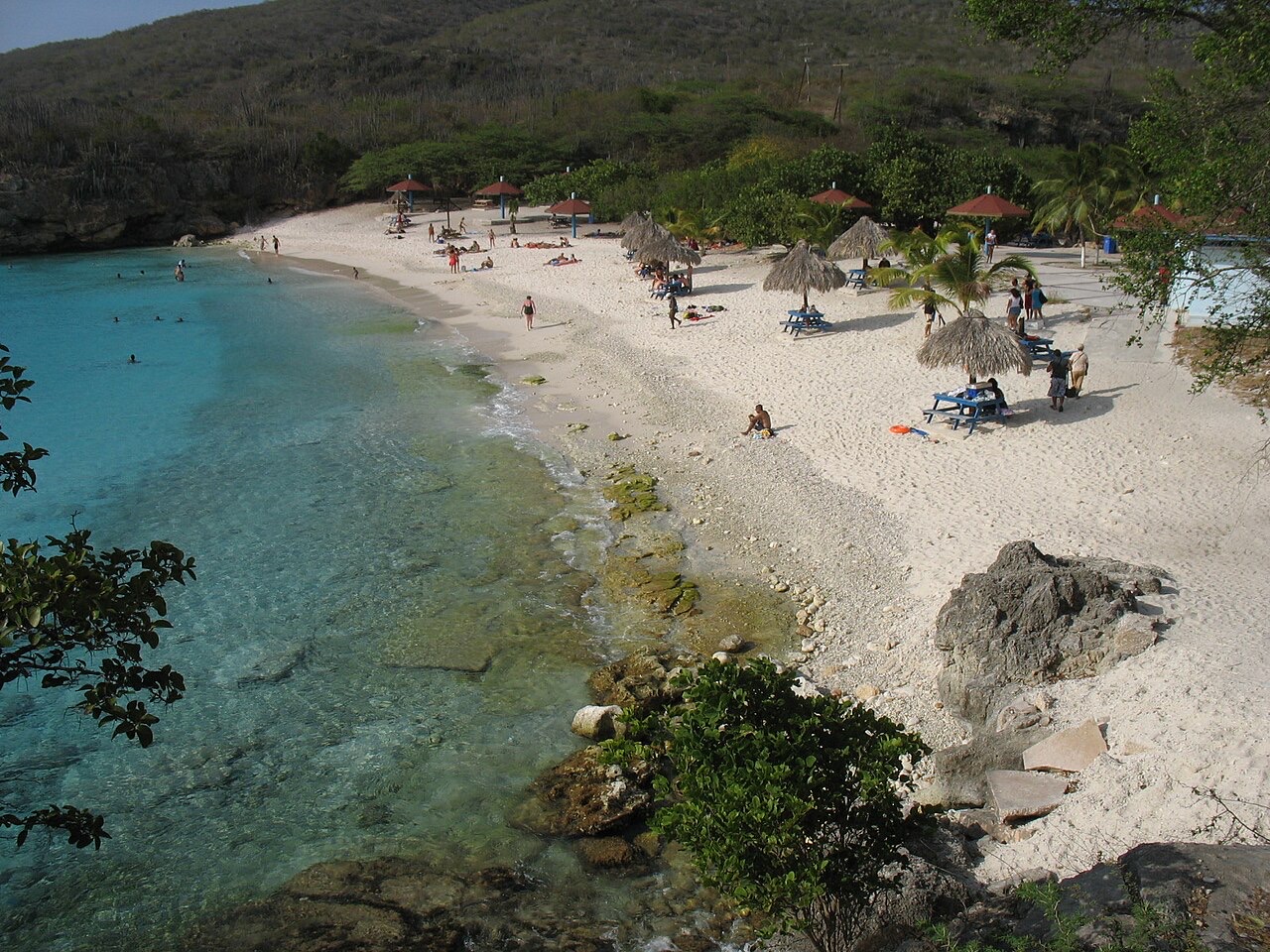 Grote Knip (2)