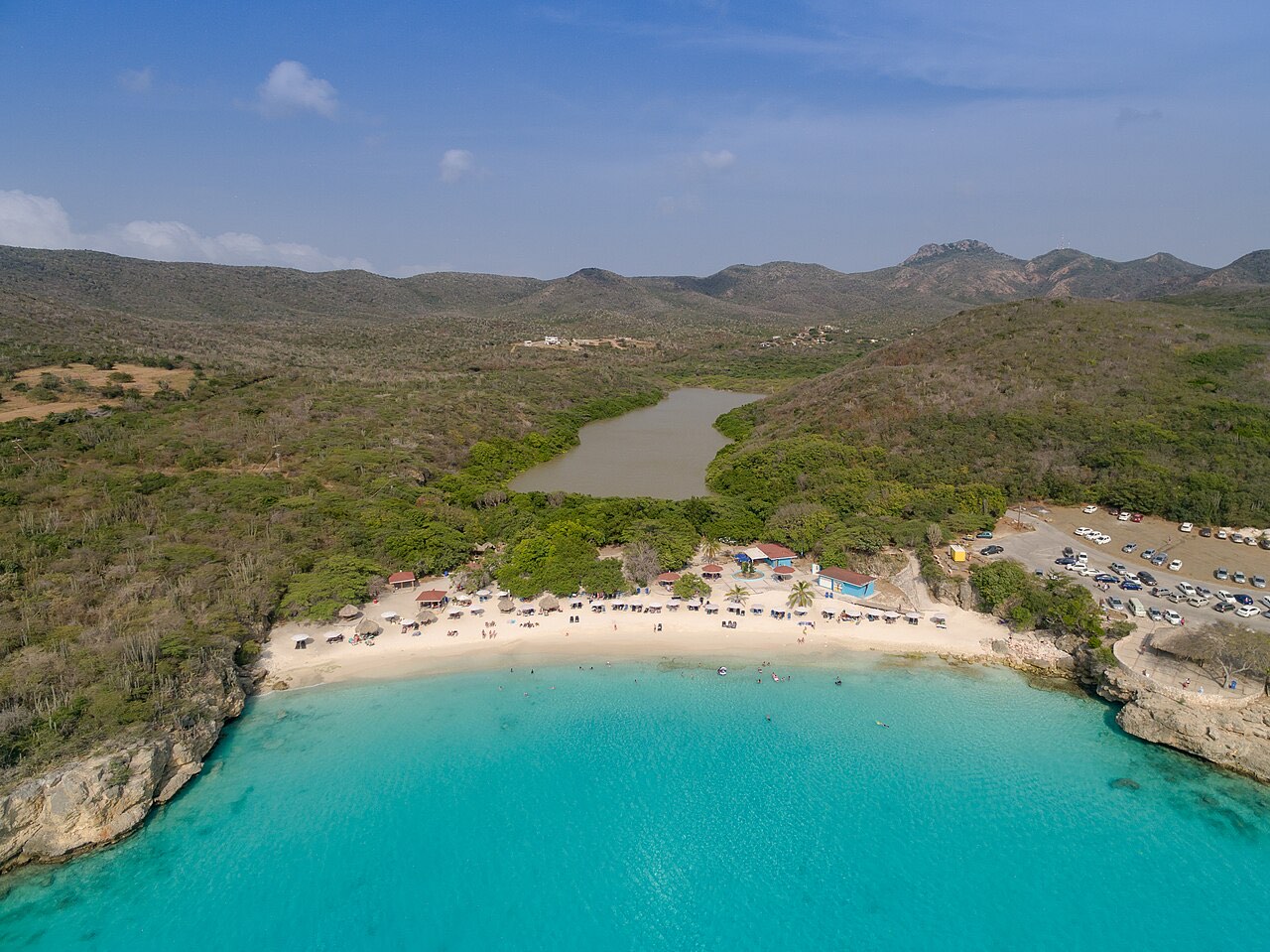 Grote Knip